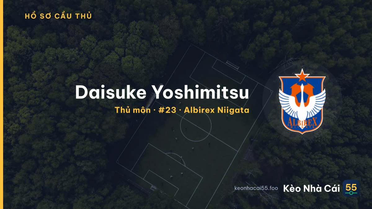 Daisuke Yoshimitsu — Albirex Niigata