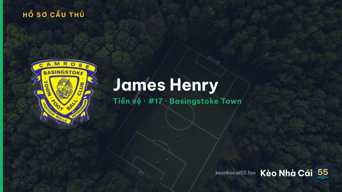 James Henry — Basingstoke Town