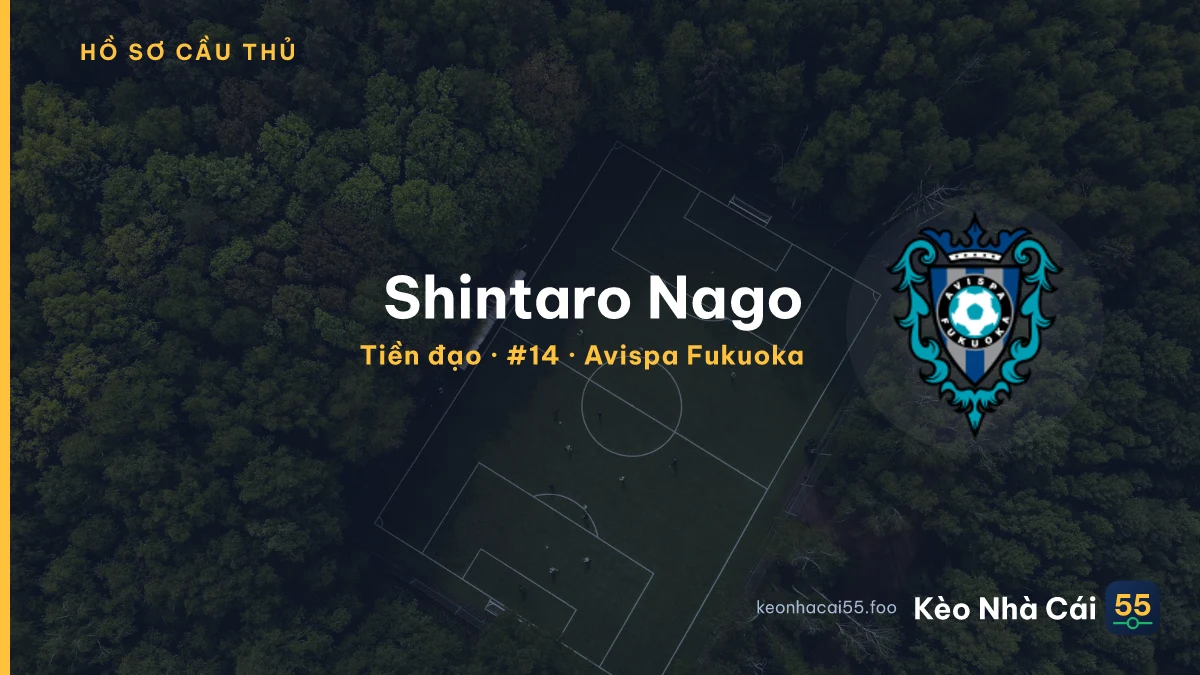 Shintaro Nago — Avispa Fukuoka