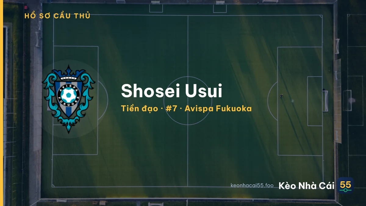 Shosei Usui — Avispa Fukuoka