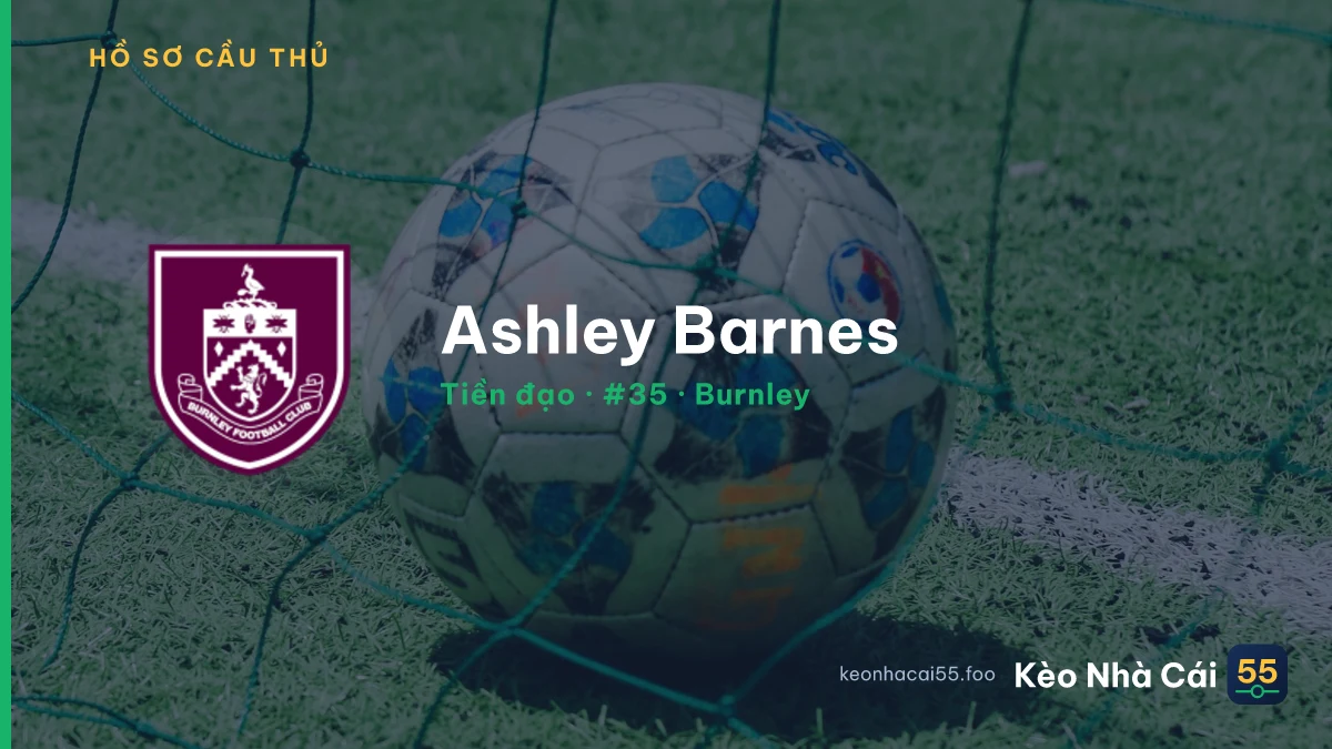 Ashley Barnes — Burnley