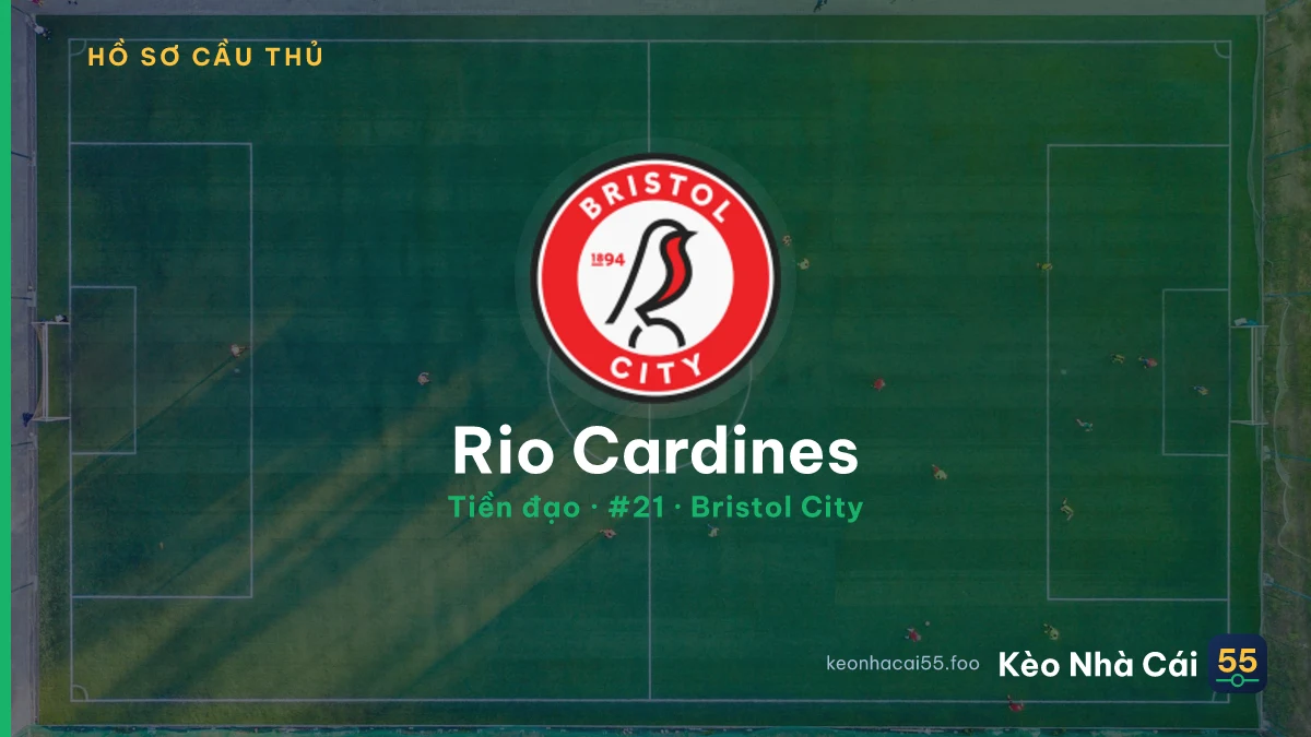 Rio Cardines — Bristol City
