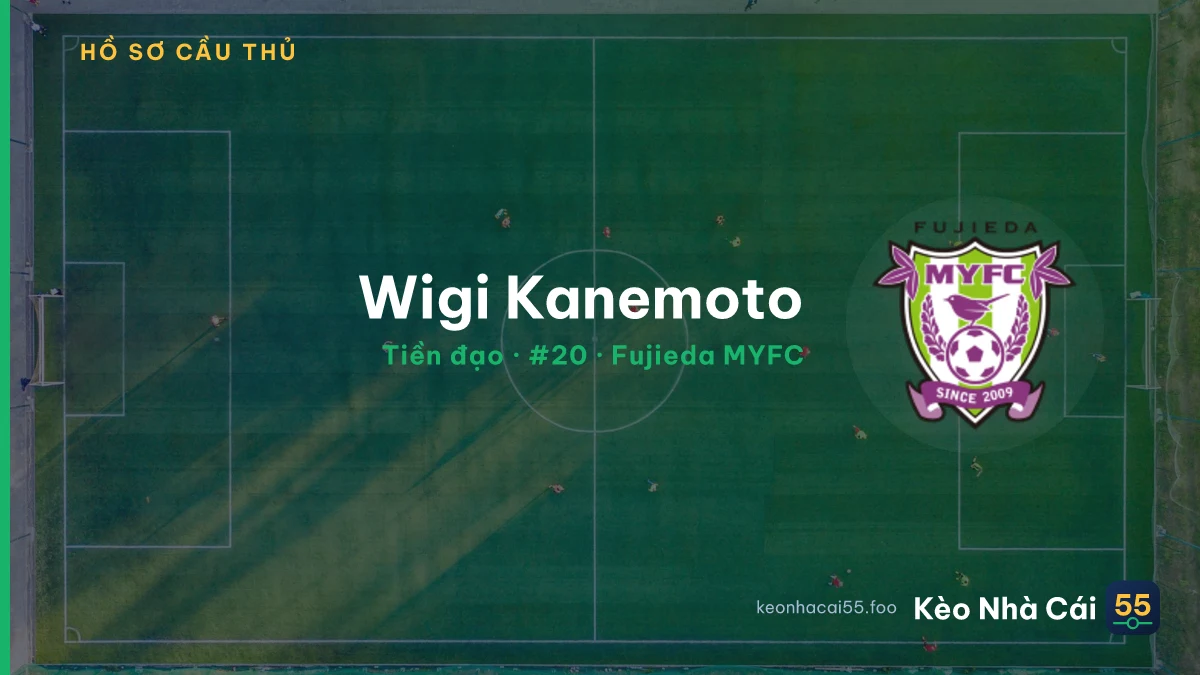 Wigi Kanemoto — Fujieda MYFC