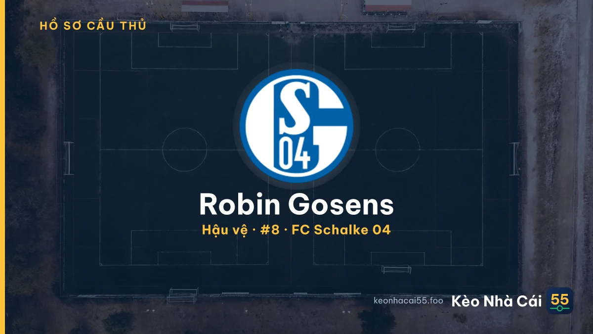 Robin Gosens — FC Schalke 04