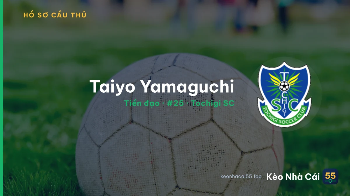 Taiyo Yamaguchi — Tochigi SC