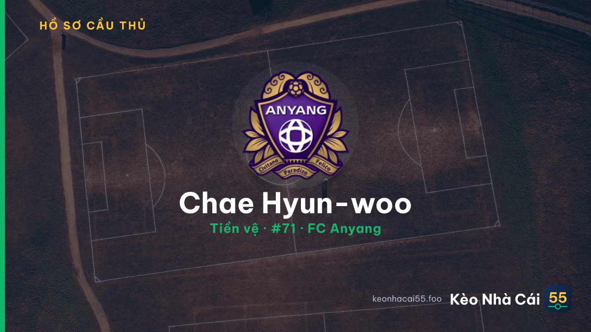 Chae Hyun-woo — FC Anyang