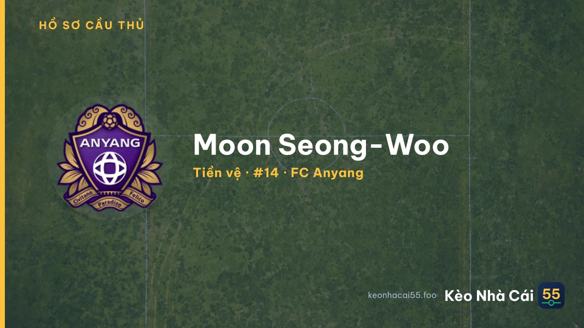 Moon Seong-Woo — FC Anyang