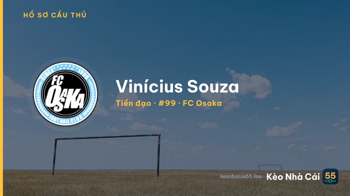 Vinícius Souza — FC Osaka