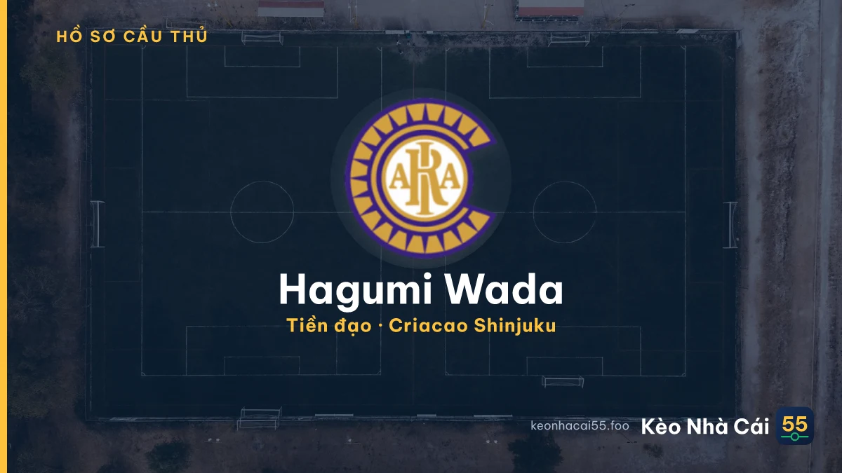 Hagumi Wada — Criacao Shinjuku
