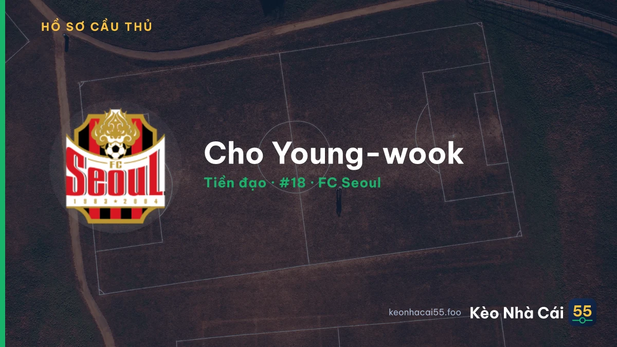 Cho Young-wook — FC Seoul