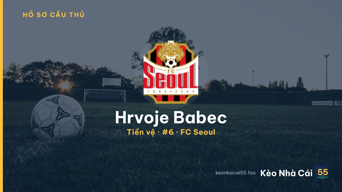 Hrvoje Babec — FC Seoul