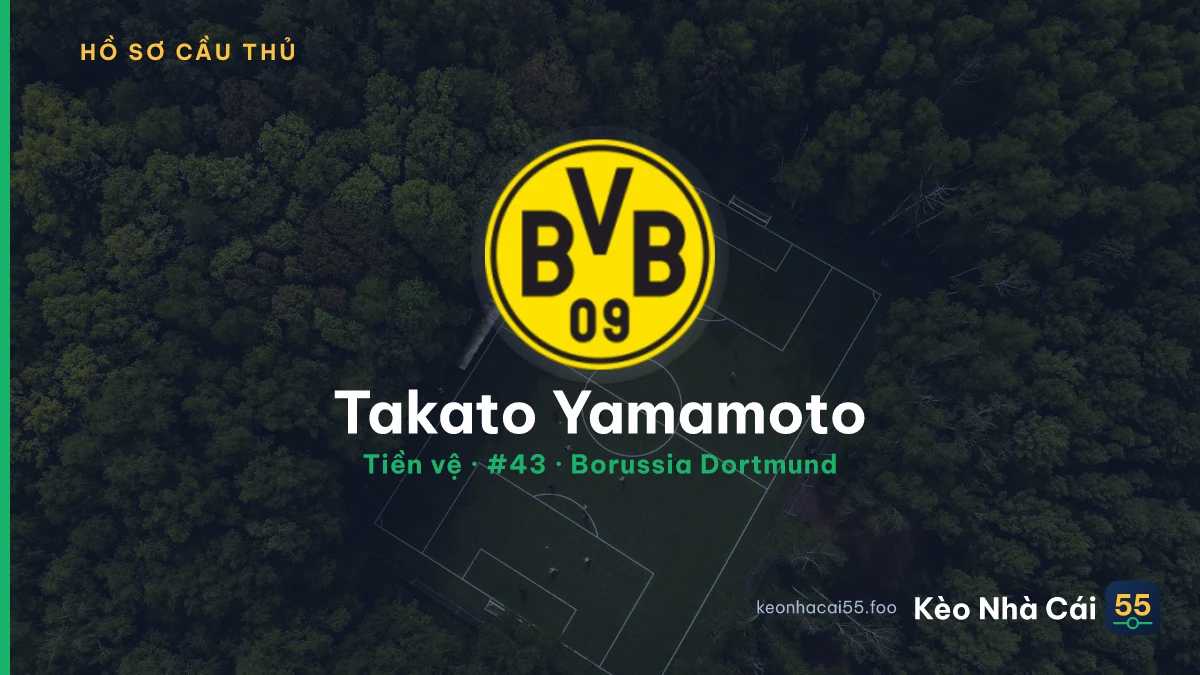 Takato Yamamoto — Borussia Dortmund