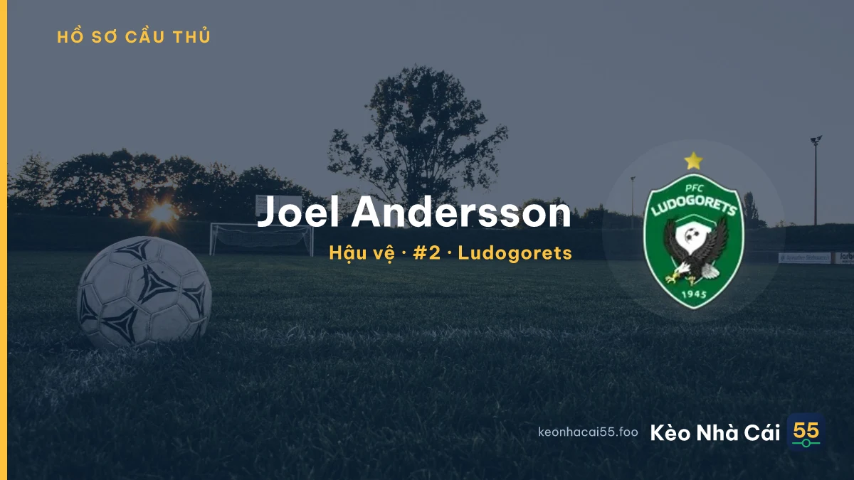 Joel Andersson — Ludogorets