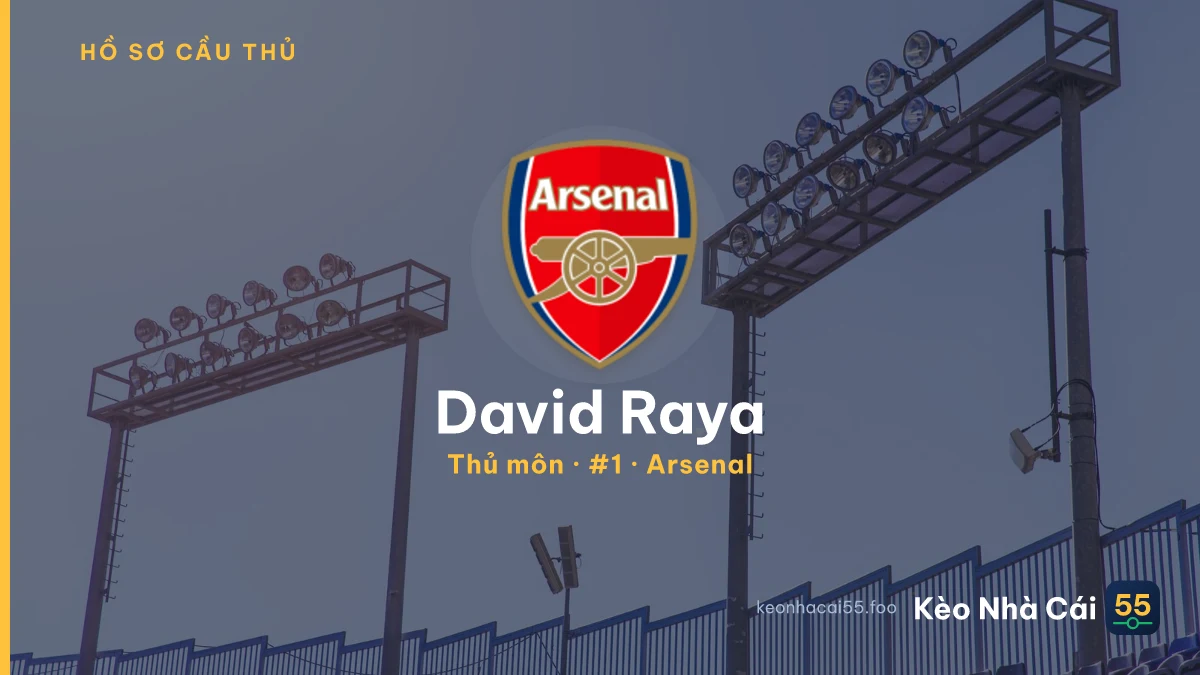 David Raya — Arsenal