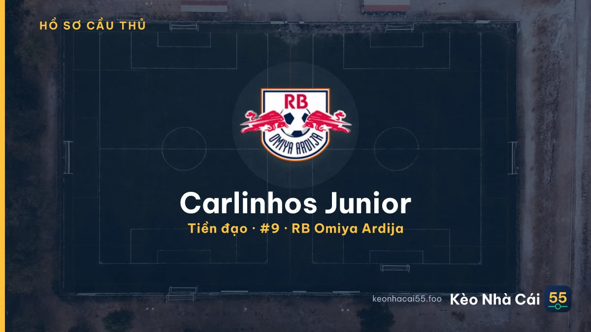Carlinhos Junior — RB Omiya Ardija