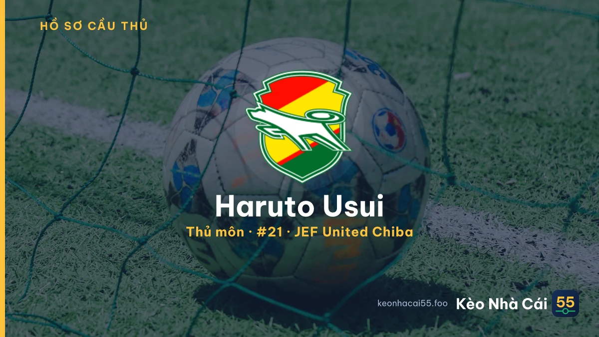 Haruto Usui — JEF United Chiba