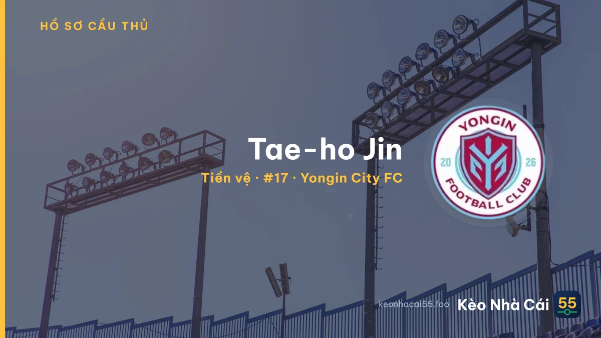 Tae-ho Jin — Yongin City FC