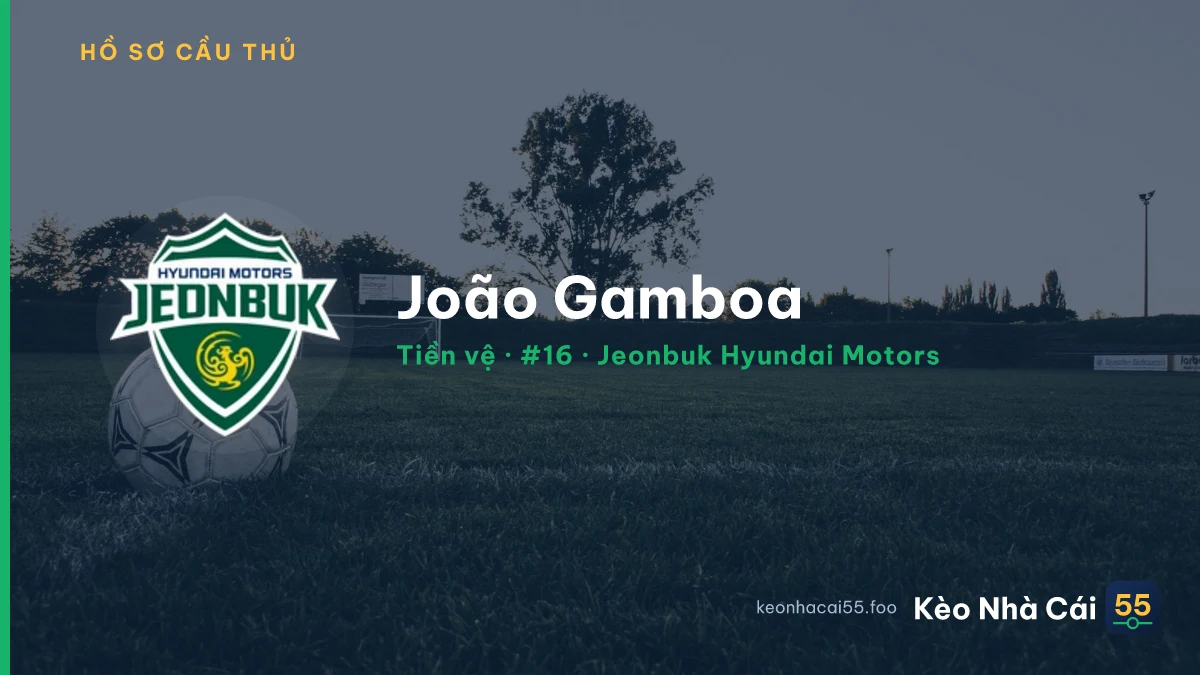 João Gamboa — Jeonbuk Hyundai Motors
