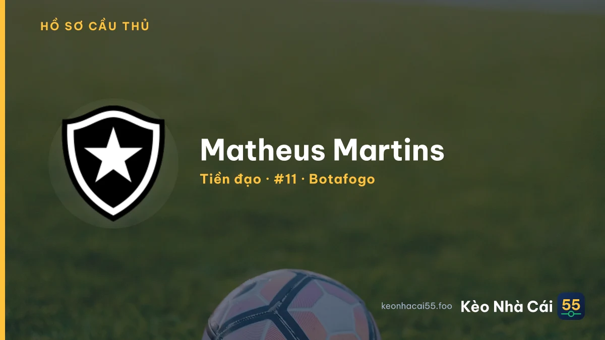 Matheus Martins — Botafogo