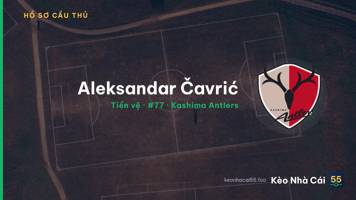 Aleksandar Čavrić — Kashima Antlers