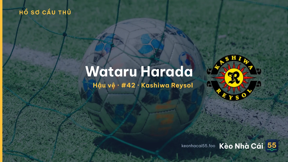 Wataru Harada — Kashiwa Reysol