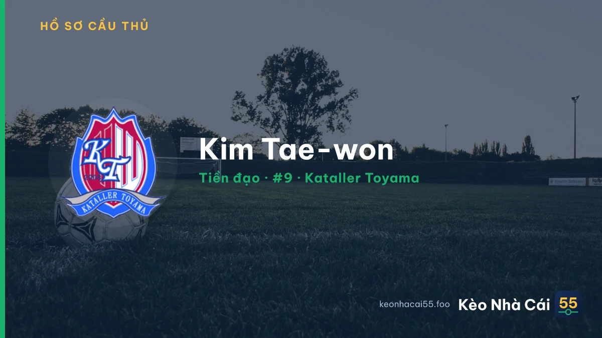 Kim Tae-won — Kataller Toyama