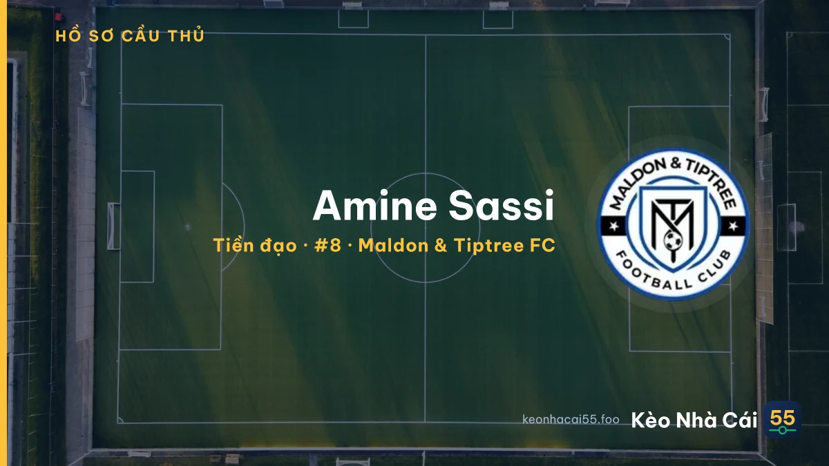 Amine Sassi — Maldon & Tiptree FC