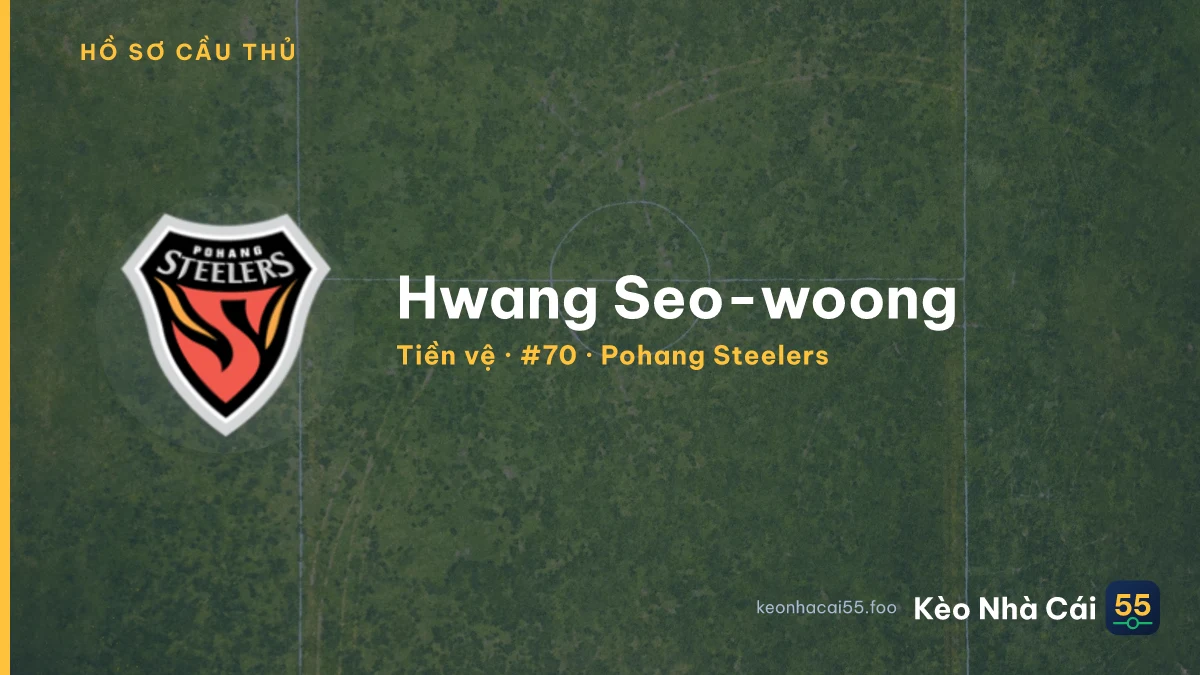 Hwang Seo-woong — Pohang Steelers
