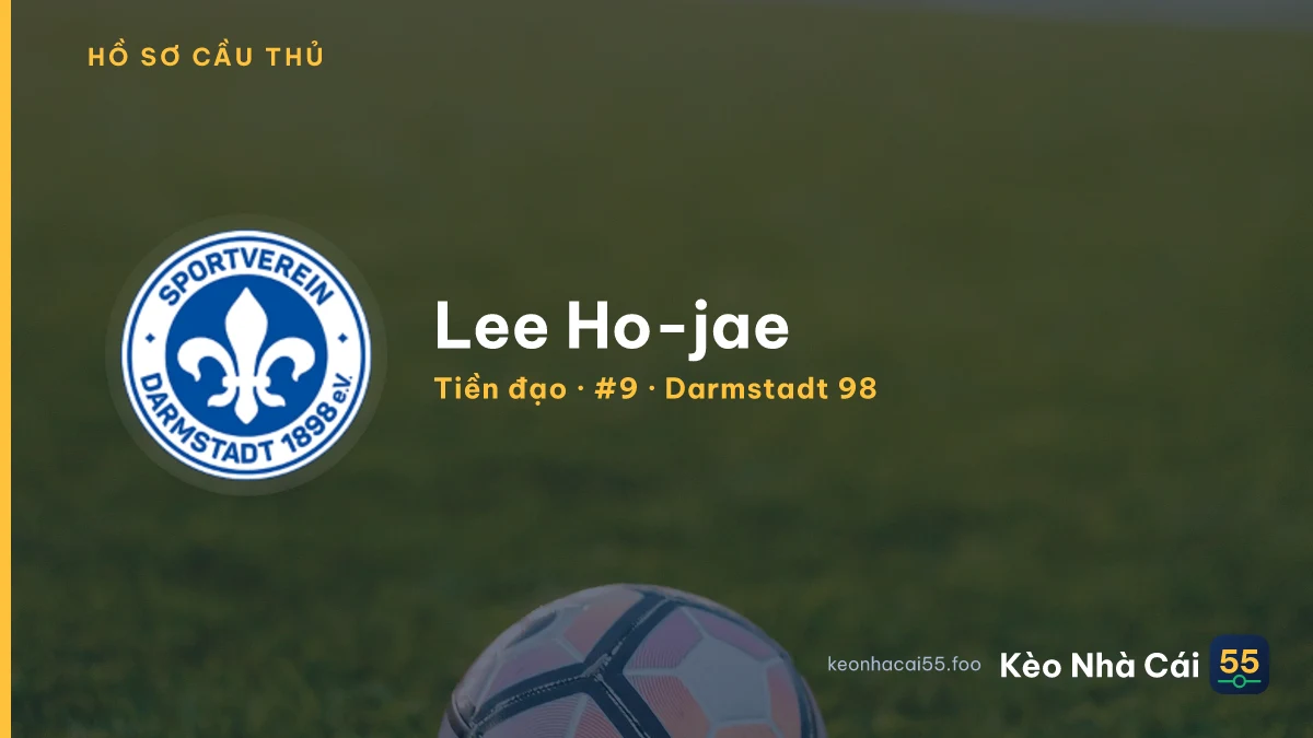 Lee Ho-jae — Darmstadt 98