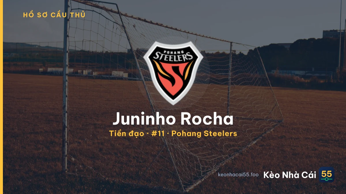 Juninho Rocha — Pohang Steelers