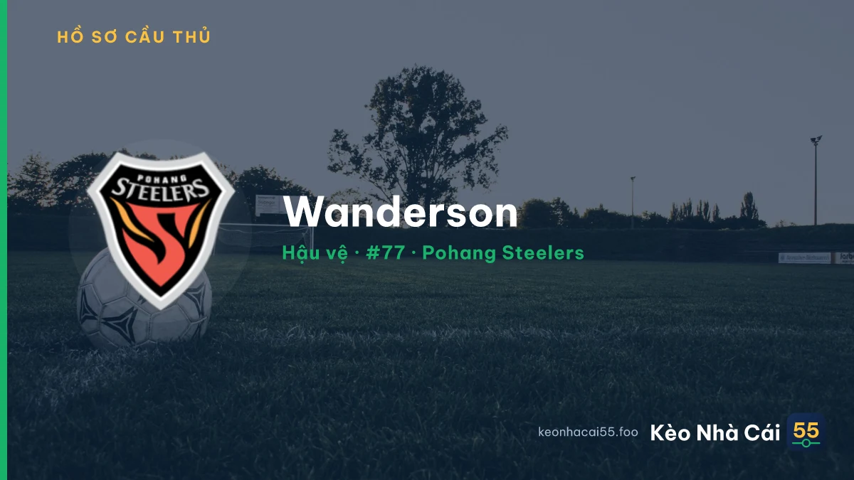 Wanderson — Pohang Steelers