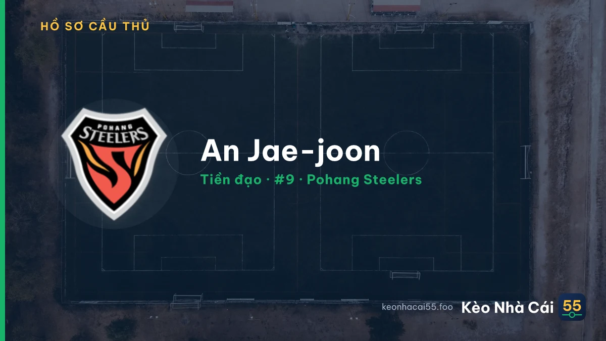An Jae-joon — Pohang Steelers