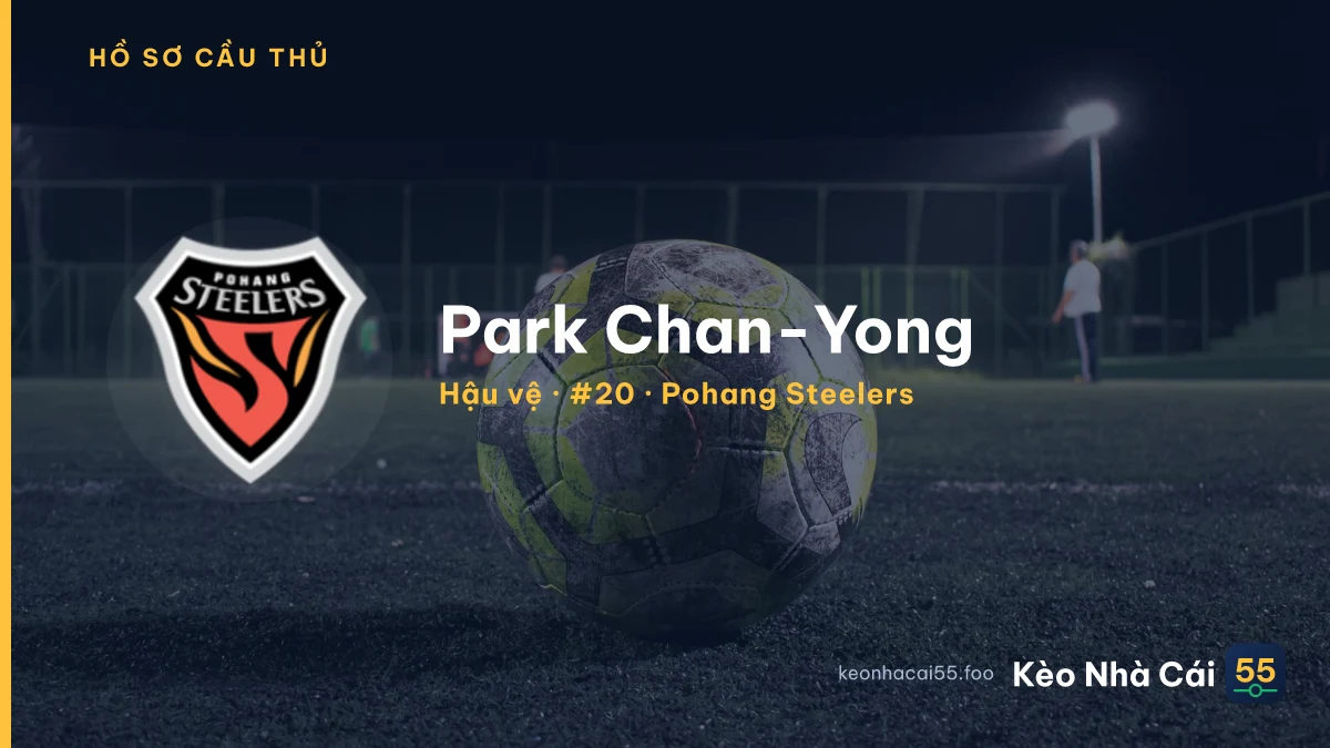 Park Chan-Yong — Pohang Steelers