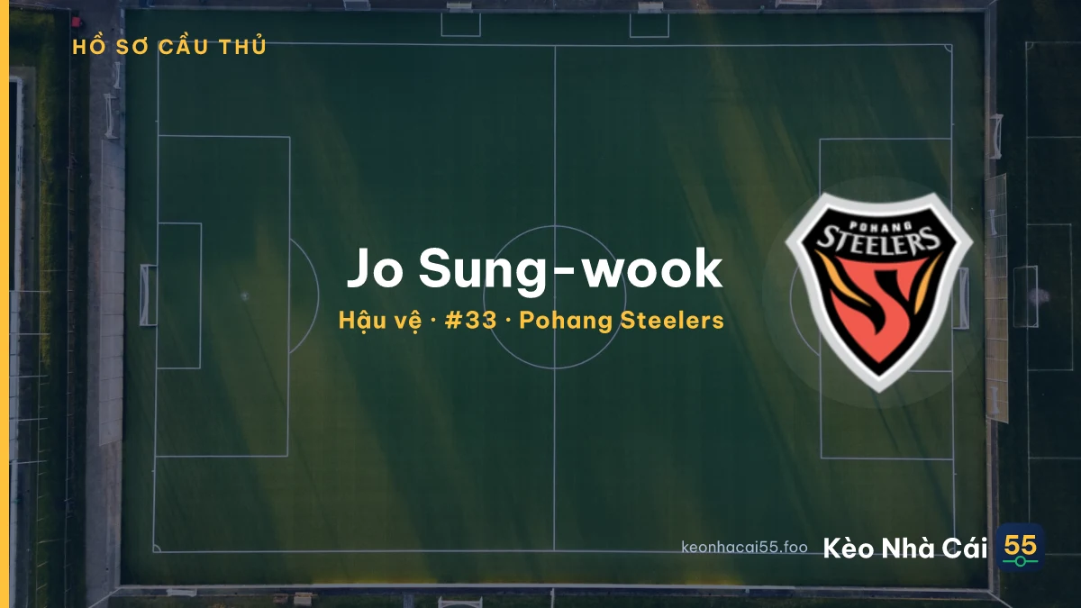 Jo Sung-wook — Pohang Steelers