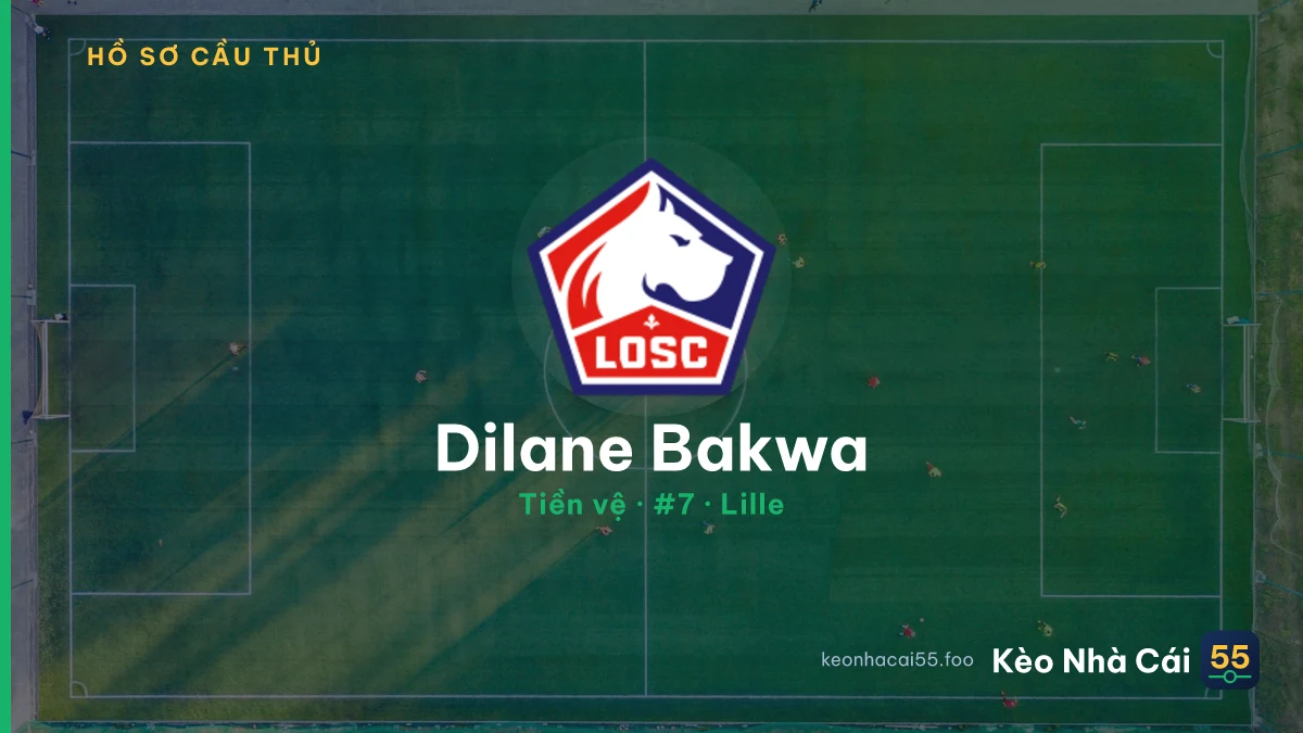 Dilane Bakwa — Lille