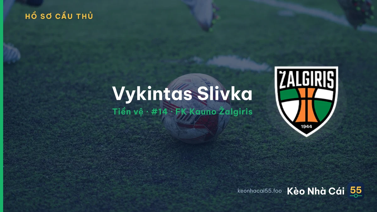 Vykintas Slivka — FK Kauno Žalgiris