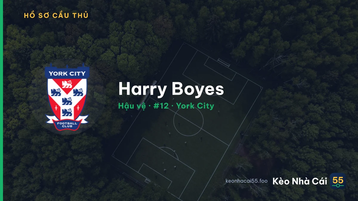 Harry Boyes — York City