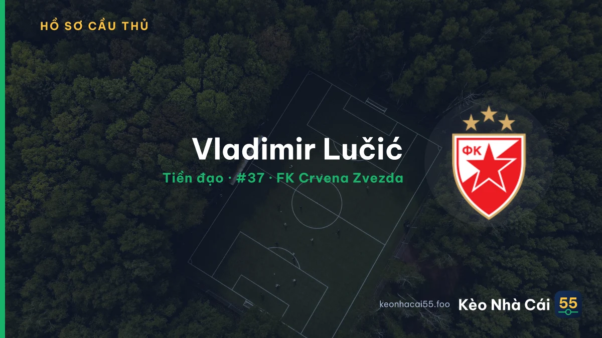 Vladimir Lučić — FK Crvena Zvezda