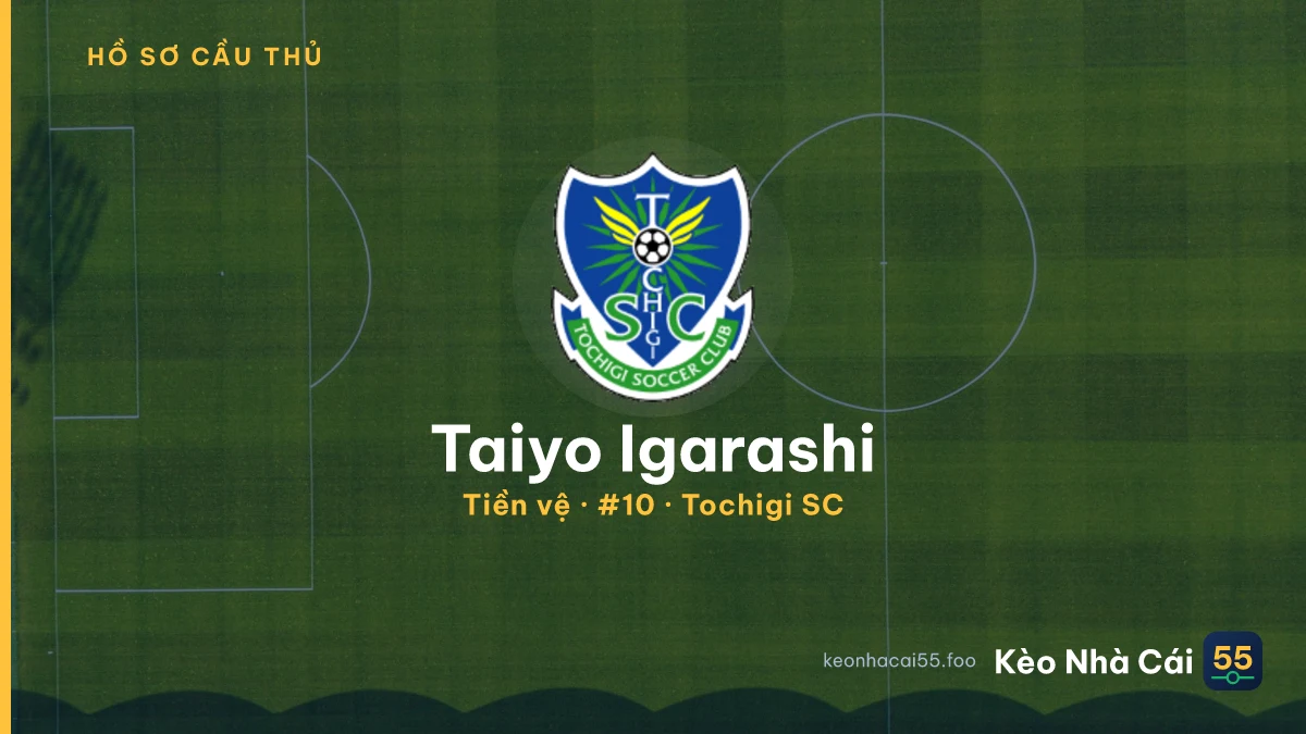 Taiyo Igarashi — Tochigi SC