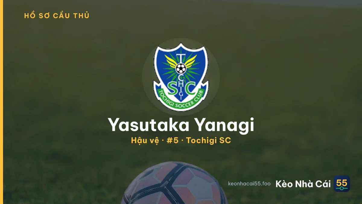 Yasutaka Yanagi — Tochigi SC