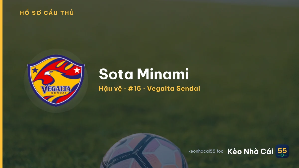 Sota Minami — Vegalta Sendai