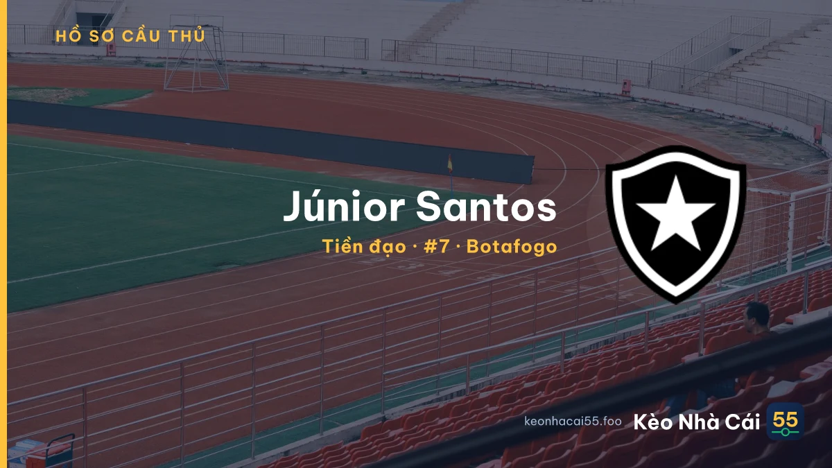Júnior Santos — Botafogo