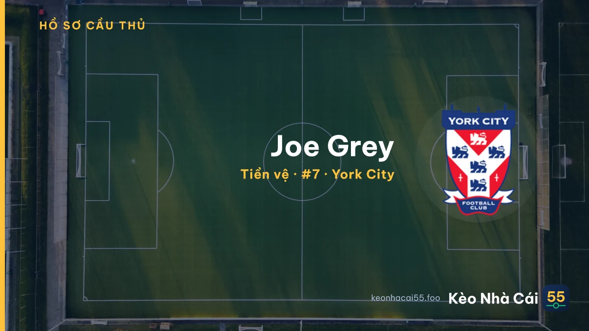 Joe Grey — York City