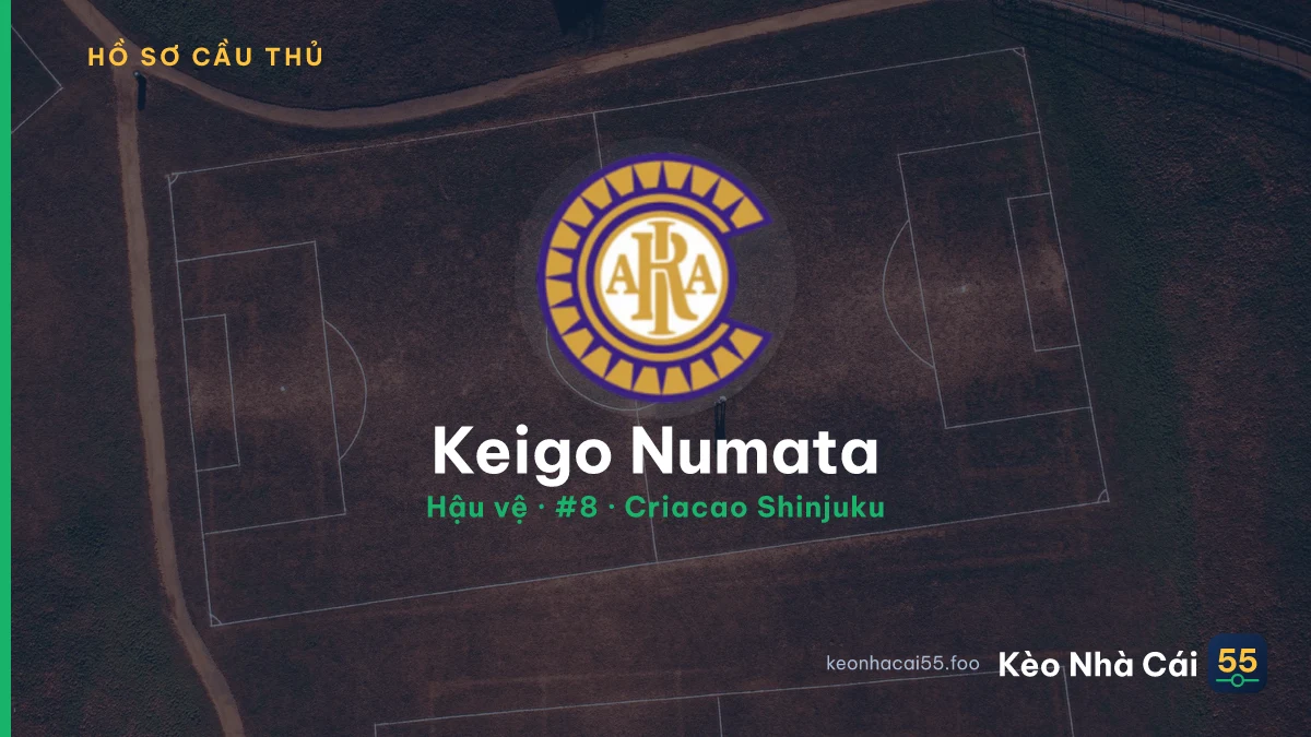 Keigo Numata — Criacao Shinjuku