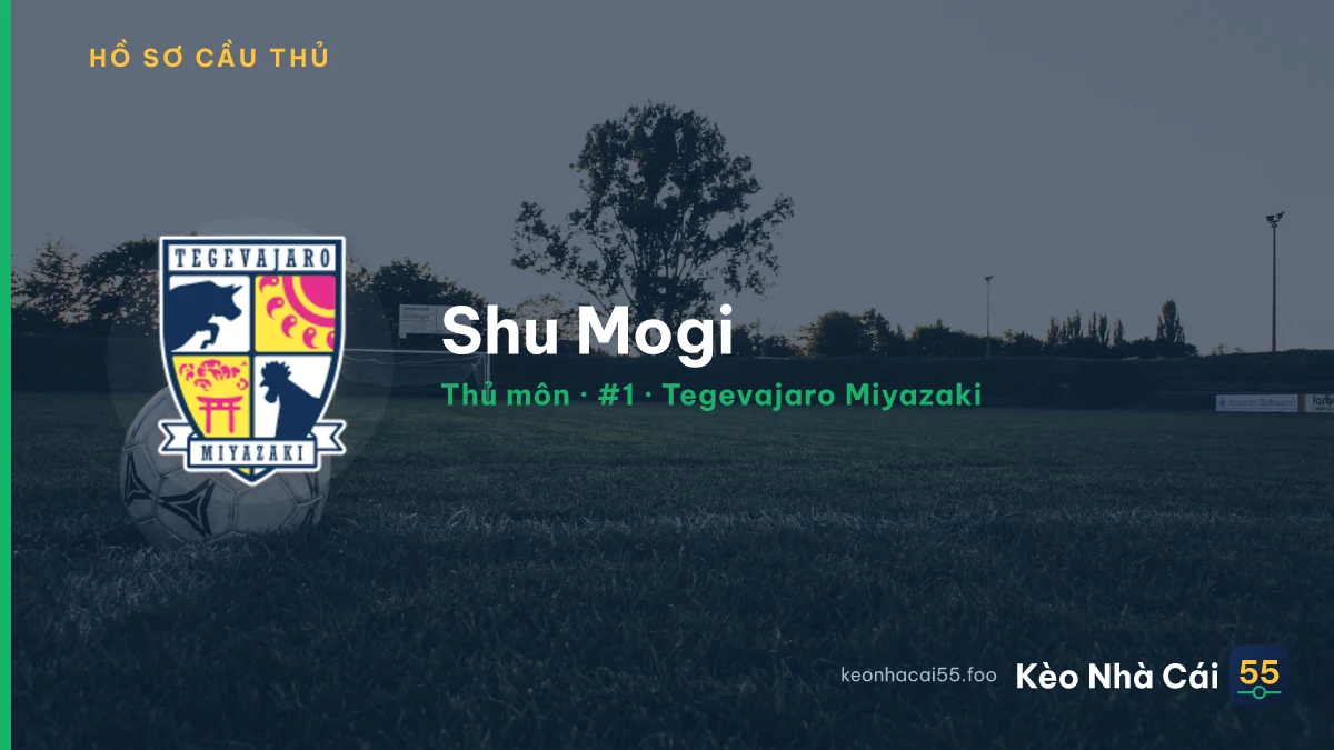 Shu Mogi — Tegevajaro Miyazaki