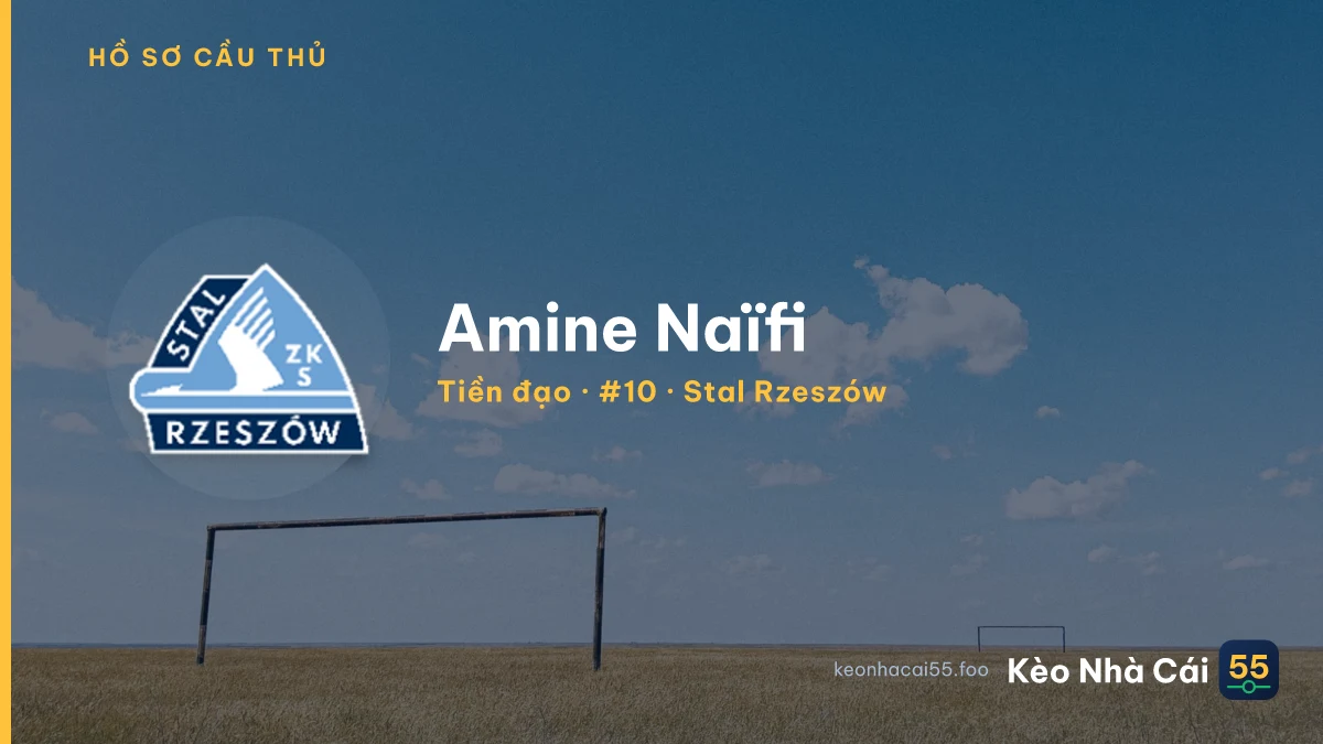 Amine Naïfi — Stal Rzeszów