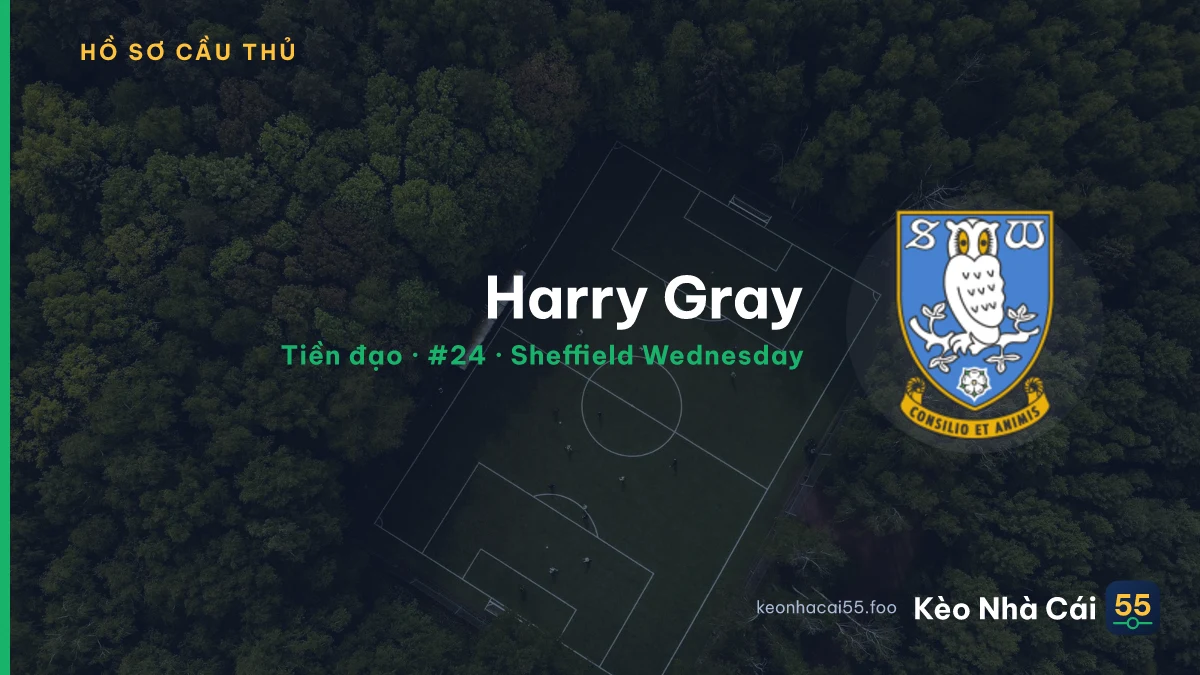 Harry Gray — Sheffield Wednesday