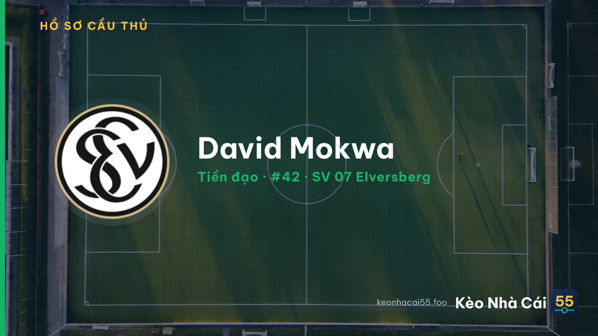 David Mokwa — SV 07 Elversberg