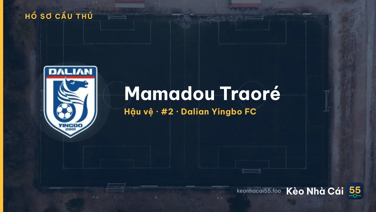 Mamadou Traoré — Dalian Yingbo FC