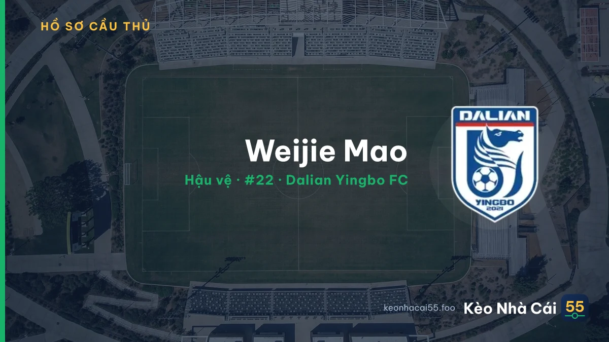 Weijie Mao — Dalian Yingbo FC